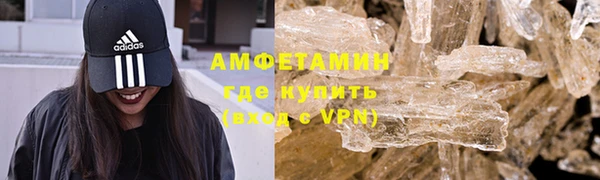 трава Корсаков