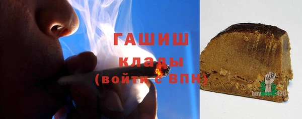 трава Корсаков