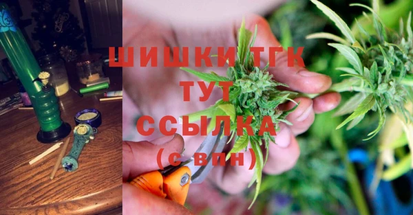 трава Корсаков