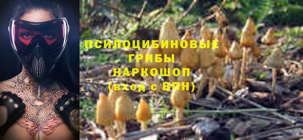 трава Корсаков