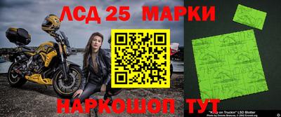 дживик Гай