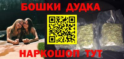 индика Гагарин