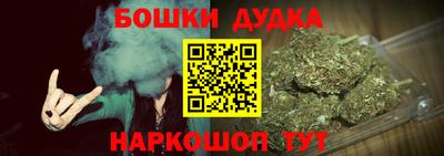 индика Гагарин